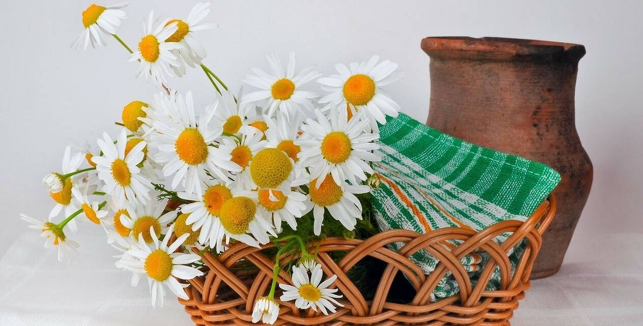 How to make a facial toner from chamomile flowers
